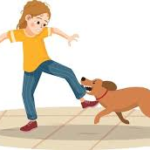DAÑOS PRODUCIDOS POR ANIMALES